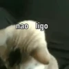 Memes pra semana 7