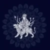 Navratri 15