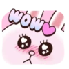 Brown And Cony 15