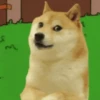 Funny doge 13