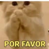 NOVOS MEMES 12