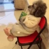 🌈 Animaditos Random 🤭 9