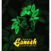 Ganesh Chaturthi 8