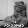 Memes v2 6