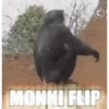 Macacos animados 8