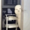 😎 TIK TOK VIRALES 2🔝😜 19