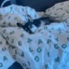 🐕 PUSHKIN TIK TOK 🐾 19