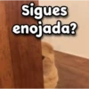 😳 Gato Vergonzoso 🙈 14