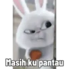 Boo n rabbit cute sticker 9