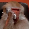 Funny Reactions 5