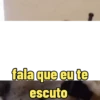Animadas 8