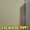 DEBOCHES DO EDY SILVA 🙄 13