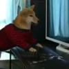 Memes graciosos 9 8