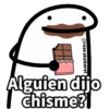 Flork Memes Animado😎 9