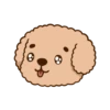 Pibubear animated 10