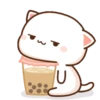 Kucing 1 14