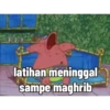 Petrik no ingfo 5