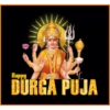 Durga Puja ✨ 13