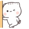 Kucing 1 20