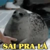 MEMES PRA TUDO 😁 5