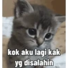 Hadeh 11