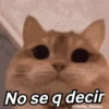 🌈🌈 Mix Gatitos Animados 😻☁️❤️🌈 8