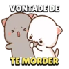 GATINHOS 🐱 13