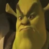 Shrek 11