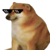 Funny doge 11