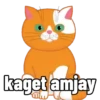 Kucing-Kucingan 9
