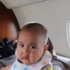 Cipung abubu gemes 7
