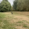 🐕 PUSHKIN TIK TOK 🐾 14