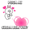 Brown And Cony 13