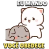 GATINHOS 🐱 10