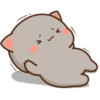 Peach Cat Uwu 5
