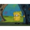 Spongebob.meme 8