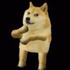 Funny Animals 10