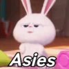 🌈✨ Conejito Snowball ☁️🐰 8