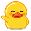 Utya duck 13
