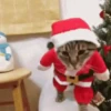 Merry Christmas 23