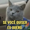 Utiliza para reagir ☺️ 14
