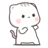 Kucing 1 5