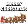 Merry Christmas 25