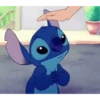 Stitch 13