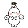 🥕Conejito tierno 🐰🐇 12