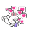 Brown And Cony 11