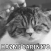 Memes v2 7
