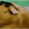 Memes que tienes que tener 3 14