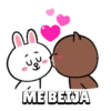 Brown And Cony 8