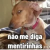 Figurinhas quentinhas 🔥 13